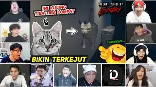 [ REAKSI YOUTUBER GAMERS ] DI KAGETIN KUCING | Night Shift : Laundry |