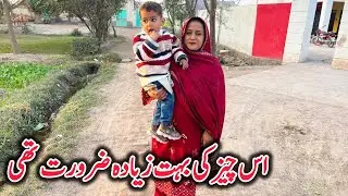 Ic Chez Ki Bht Zaida Zarort Thi || Vlog