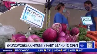 BronxWorks Community Farm Stand Opening! - PIX 11