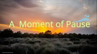 A Moment of Pause 🌿 | Soft Morning Calm ☀️ | Gentle Healing Music