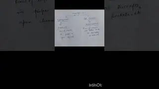 Short capsule 1 of fluid mechanics #chemical #btech #gate #psu