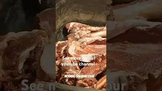How to Make Deer Bone Broth.#followers #recipe #food #easyrecipe #healthyfamily