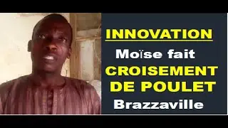 Innovation: Moise fait le croisement des poulets à Brazzaville