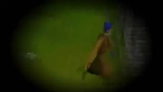 The Best Runescape PRivate Server 317 ~Wolf Scaper 317 Evolution~