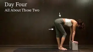 Ultimate guide to finally gain Hamstring and lower back flexibility,