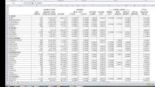 Property Tax Capacity and Effort