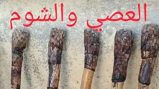اسعار الشوم والخزران بسوق البرين