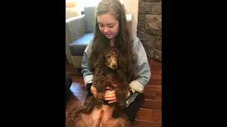 Tabitha and Heather for Mobility Service Dogs