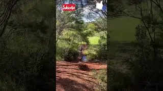 Wayne Richards bike park