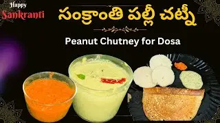 సంక్రాంతి స్పెషల్ పల్లీల చట్నీ & కారం | peanut 🥜 Chutney Recipe in Telugu | for Idli Dosa Rice.
