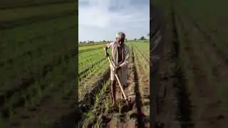 &ldquo;🥰Mehnati kisaan ki saflata🥰&rdquo;#shorts  #viral #farming #motivation #kisan #dosti #mehnat#cartoon