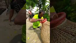 Best Fishing Competition In Village Pond. #fishing #polofishing #villagelife #fish #fishingtrip