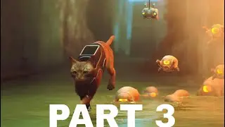Stray All cutscenes Part 3 (No Commentary)