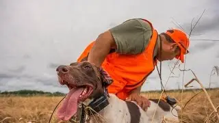 2016 Upland Game Opener- Elite LI Outfitter HD