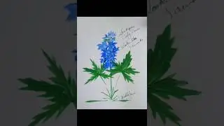 Larkspur (July flower)