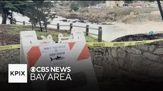 Search underway for missing swimmer in Pacific Grove