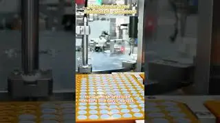 Custom Automation Equipment: Revolutionizing Manufacturing Efficiency #machine #smartmanufacturing