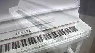 Yamaha 'Super U1' (U10BL) 48