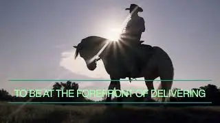 Health And Harmony For Horse And Rider!