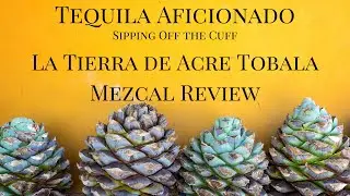 La Tierra de Acre Tobala Mezcal Review