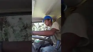 Kurir sawit