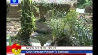Background report on Niger Delta oil spills