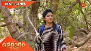 Chadarangam - Best Scenes | 29 April 2021 | Gemini TV Serial | Telugu Serial