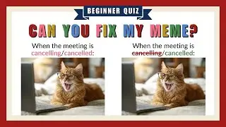 Beginner Grammar Quiz | Fix Common English Mistakes with Memes!