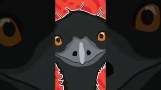 Weird Australian Animals Song #animalsongsforkids #songsforkids #educationalsongs #australian #kids
