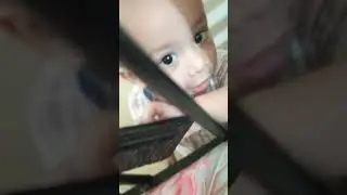 addo playing|Adler addo
