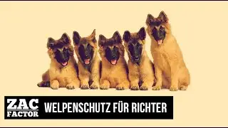 BEST OF ZAC FACTOR | CLAUDIO ZANETTI - NATIONALRAT | WELPENSCHUTZ F&Uuml;R RICHTER