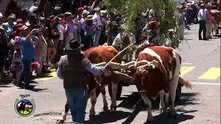 Desfile del baqueano 2022  - Fiesta del baqueano 2022