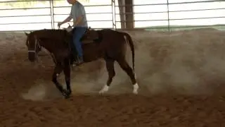 MOV07054 horsn9 beckette junior 092112