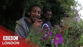 How this Hip-Hop garden keeps teens away from crime  - BBC London