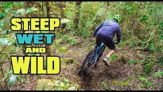 Riding Wet Roots & Steep MOUNTAIN BIKE Trails | Hogsback Trails