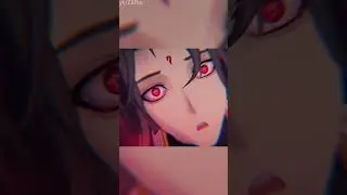 The 