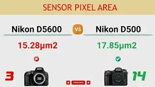 Nikon D5600 vs Nikon D500 Comparison: 3 Reasons to buy the D5600 and 28 Reasons to buy the D500