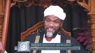 Why Did Allah  S.W.T Turn Some People Into Apes And Pigs - Shaikh Shafayat