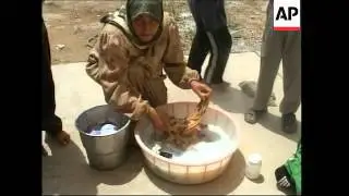 Damage in Qaim, refugees who fled border fighting