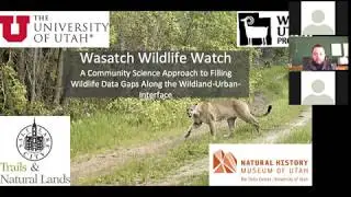 Wasatch Wildlife Watch Web Training Recording