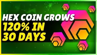 HEX Coin Grows 120% in 30 Days | Hex Price Prediction