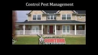 Orlando Pest Control
