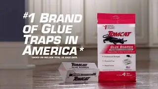 How to Get Rid of Mice Using Tomcat&reg; Glue Boards with Eugenol For Enhanced Stickiness