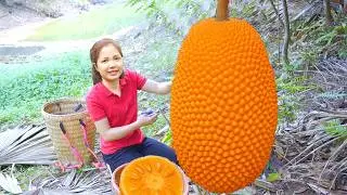 Harvesting Many Giant Red Jackfruit Goes To Market Sell,Jackfruit Yogurt Recipe |Diem-Free Bushcraft