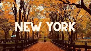 Top 5 NYC Autumn Activities