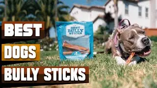 Best Bully Sticks For Dog In 2026 - Top 10 Bully Sticks For Dogs Review
