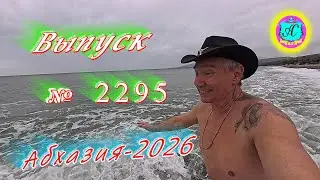 #Абхазия2026🌴 2.02.26г.🔥 Выпуск № 2293❗вчера +12°🌡ночью +7°🌡море +9°🐬