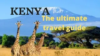 Kenya Ultimate Safari Travel Guide