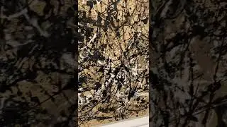 Autumn Rhythm is a 1950 abstract expressionist painting by American artist Jackson Pollock @ The Met