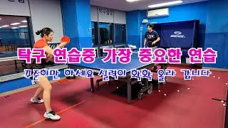 탁구 연습중 가장 중요한 연습 꾸준히 하세요 실력이 확확 올라 갑니다